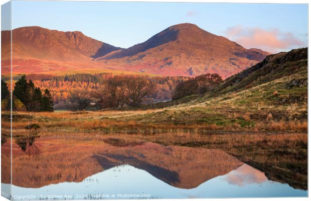 First light at Kelly Hall Tarn Canvas Print by Andrew Ray