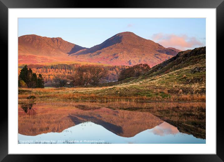 First light at Kelly Hall Tarn Framed Mounted Print by Andrew Ray