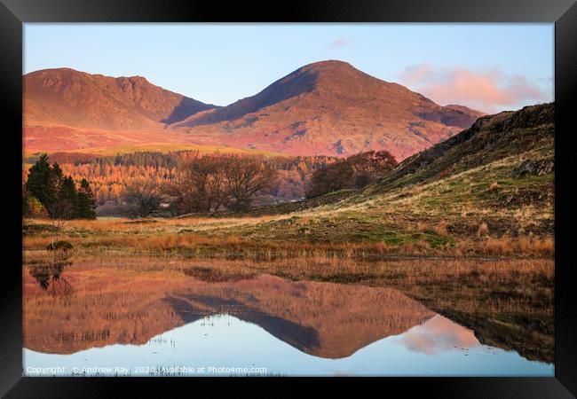 First light at Kelly Hall Tarn Framed Print by Andrew Ray