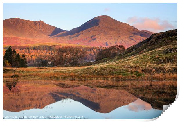 First light at Kelly Hall Tarn Print by Andrew Ray
