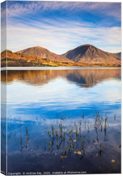 Reeds on Loweswater Canvas Print by Andrew Ray