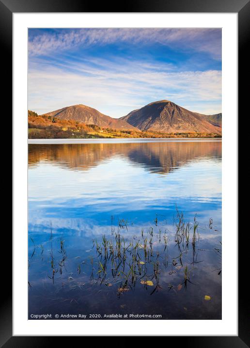 Reeds on Loweswater Framed Mounted Print by Andrew Ray