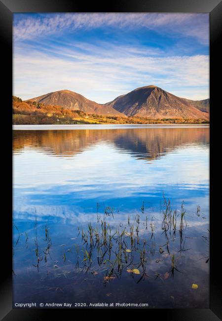 Reeds on Loweswater Framed Print by Andrew Ray
