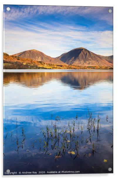 Reeds on Loweswater Acrylic by Andrew Ray