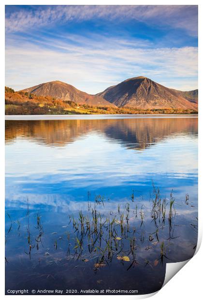 Reeds on Loweswater Print by Andrew Ray