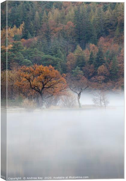 Tree's in the mist (Crummock Water) Canvas Print by Andrew Ray