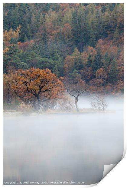 Tree's in the mist (Crummock Water) Print by Andrew Ray
