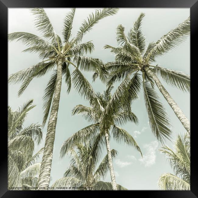 Lovely Palm Trees | Vintage Framed Print by Melanie Viola