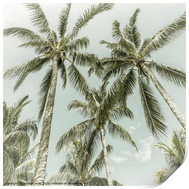 Lovely Palm Trees | Vintage Print by Melanie Viola