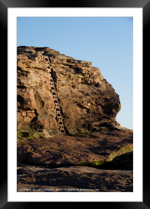 Iron Ladder at the old Hilbre Lifeboat Station Framed Mounted Print by Liam Neon