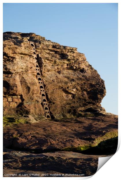 Iron Ladder at the old Hilbre Lifeboat Station Print by Liam Neon