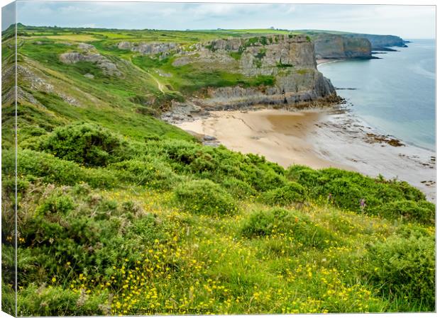Fall Bay, South Wales Canvas Print by Chris Yaxley