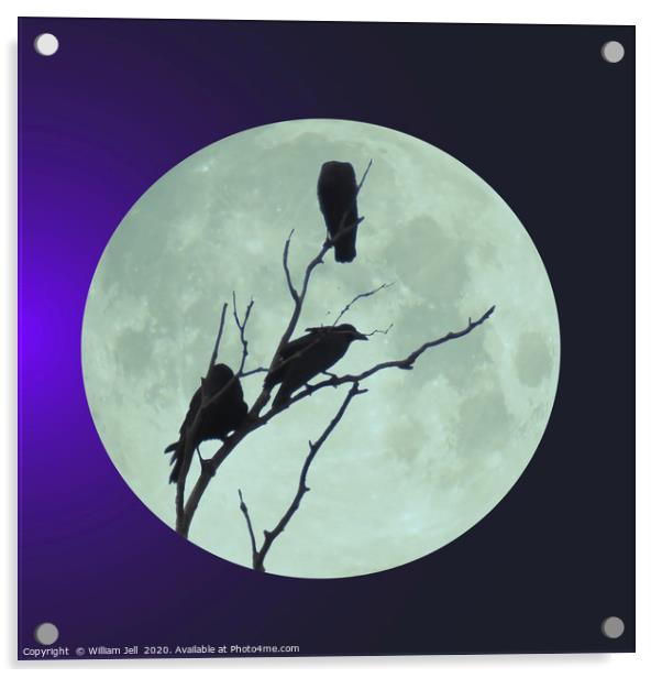 Crows in tree under a full blue moon Acrylic by William Jell