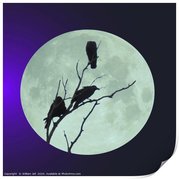 Crows in tree under a full blue moon Print by William Jell