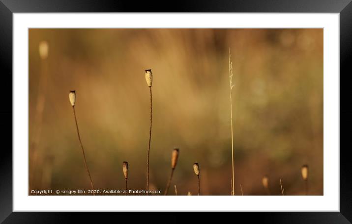  Minimalism in nature. Framed Mounted Print by sergey filin