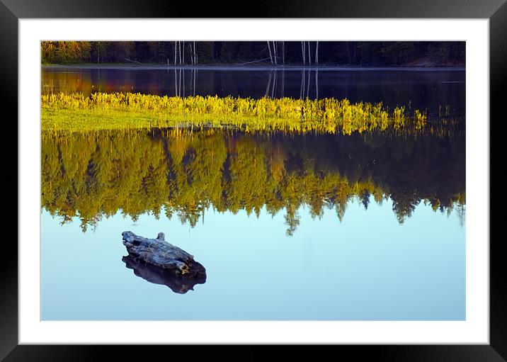 Still of the Morning!  Framed Mounted Print by Mike Dawson