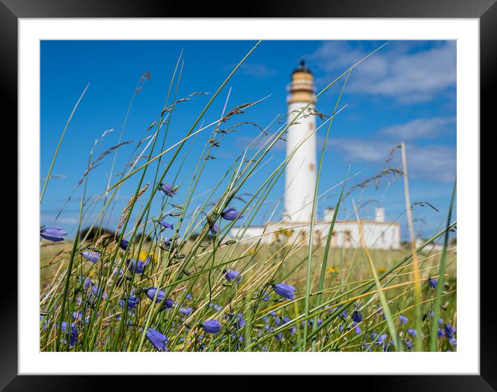 Looking through the wild flowers to Barns Ness Lig Framed Mounted Print by George Robertson