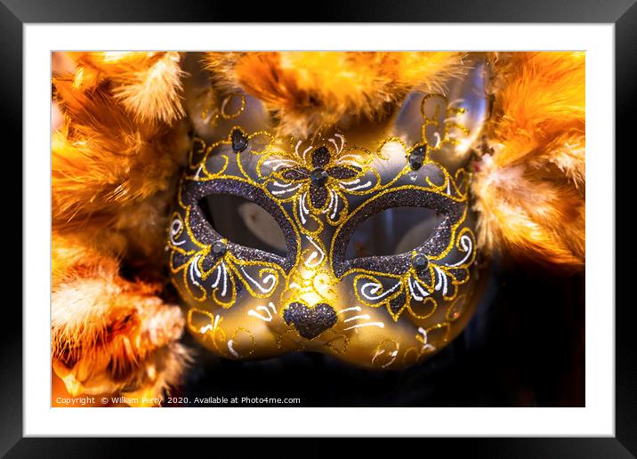 Colorful Mask Feathers Mardi Gras New Orleans Loui Framed Mounted Print by William Perry