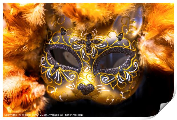 Colorful Mask Feathers Mardi Gras New Orleans Loui Print by William Perry