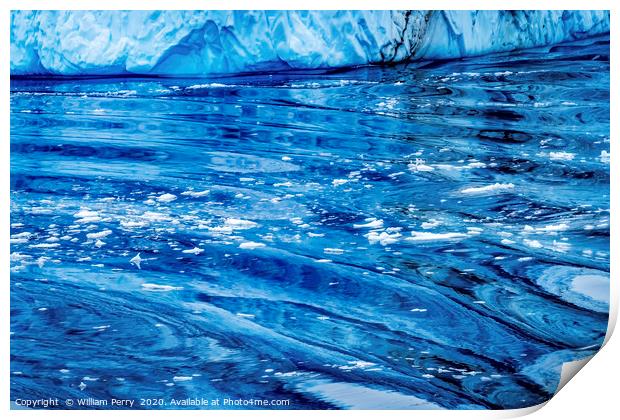 Snow Mountains Blue Glaciers Refection Dorian Bay  Print by William Perry