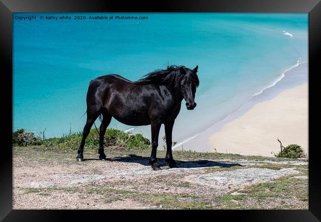 Majestic Black Horse Galloping on Cornwalls  Framed Print by kathy white