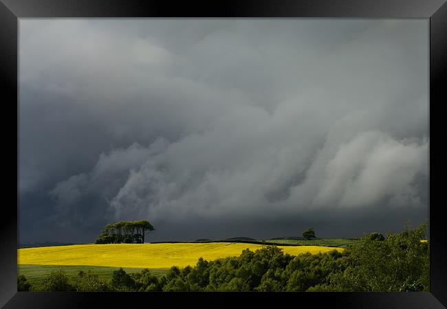Storm Cloud and Rape Seed Field Framed Print by David Lewins (LRPS)