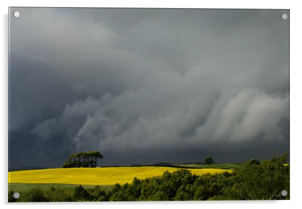 Storm Cloud and Rape Seed Field Acrylic by David Lewins (LRPS)