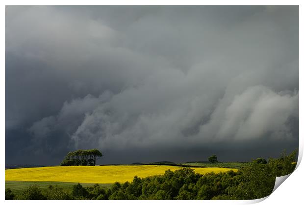 Storm Cloud and Rape Seed Field Print by David Lewins (LRPS)