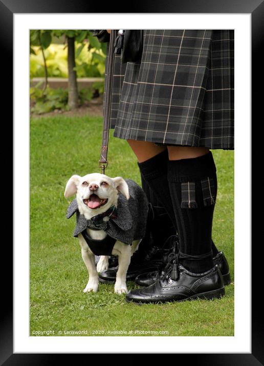 Smiling dog at a wedding in Scotland Framed Mounted Print by Lensw0rld 