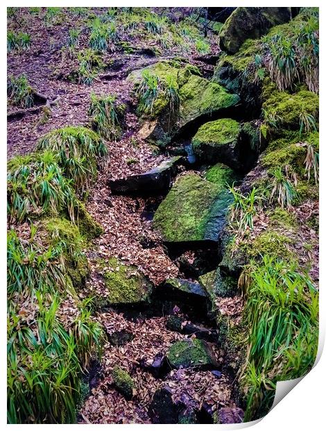Fallen Rocks Print by Paddy 