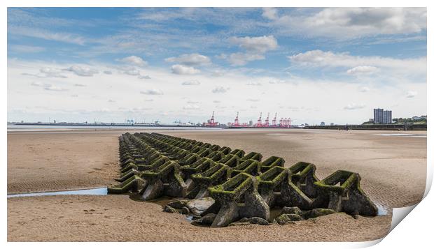Honeycomb sea defence in Wallasey beach Print by Jason Wells