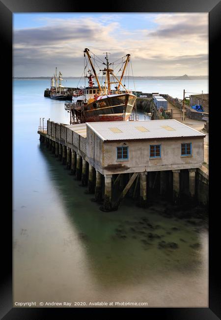 Morning light on Newlyn dry dock Framed Print by Andrew Ray