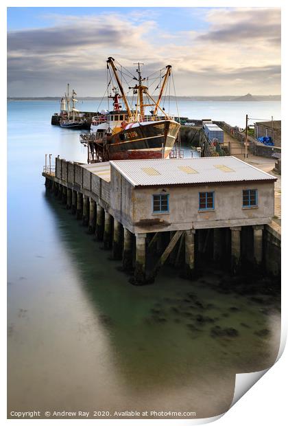 Morning light on Newlyn dry dock Print by Andrew Ray