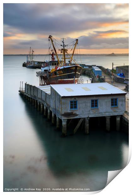 Newlyn dry dock at sunrise Print by Andrew Ray