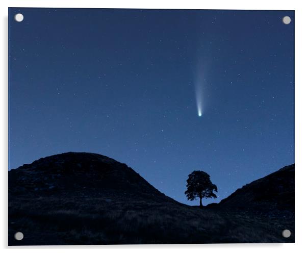 Comet Neowise Over Sycamore Gap  Acrylic by John Finney