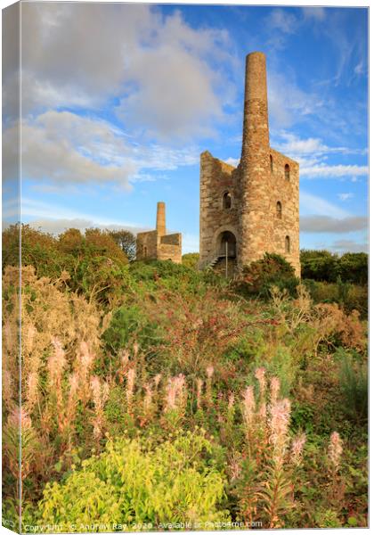 Wheal Peevor Canvas Print by Andrew Ray