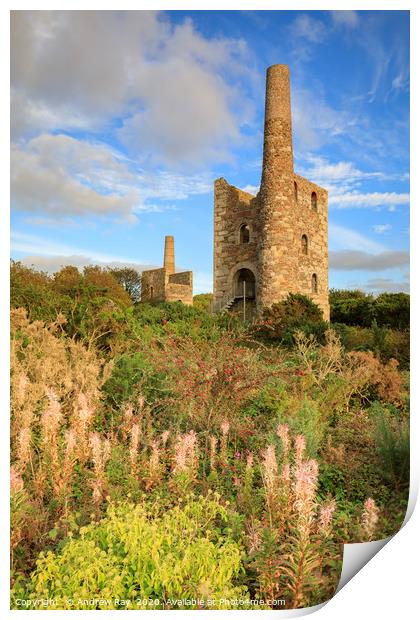 Wheal Peevor Print by Andrew Ray