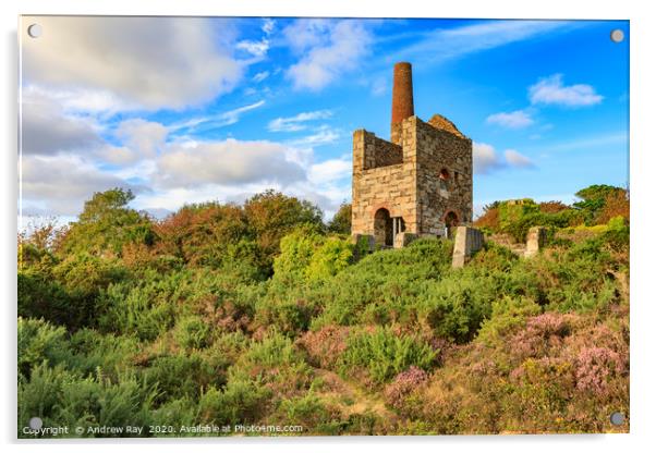 Evening light at Wheal Peevor Acrylic by Andrew Ray