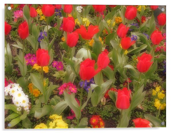 Spring Flowers Acrylic by Nicola Clark