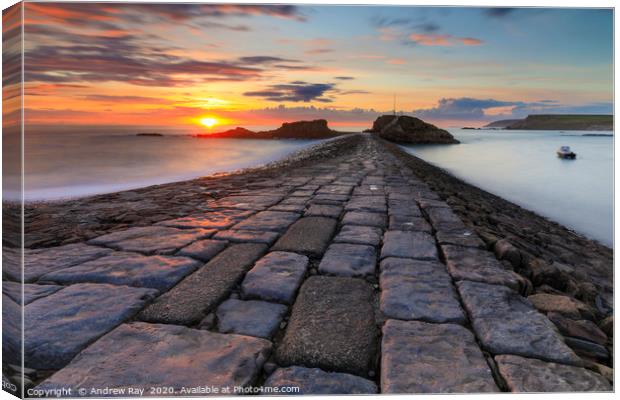 Setting sun at Bude Breakwater Canvas Print by Andrew Ray