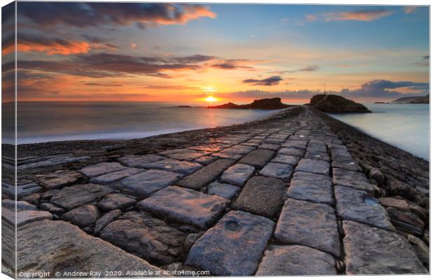 Bude Breakwater at sunset Canvas Print by Andrew Ray