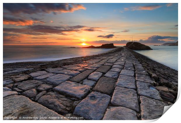 Bude Breakwater at sunset Print by Andrew Ray