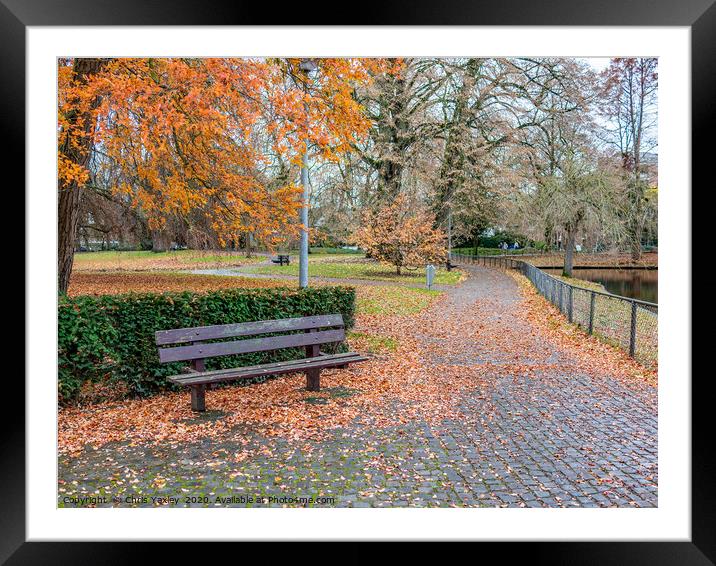 Wooden park bench in autumn in the Netherlands Framed Mounted Print by Chris Yaxley