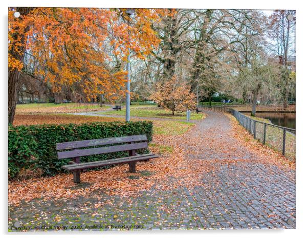 Wooden park bench in autumn in the Netherlands Acrylic by Chris Yaxley