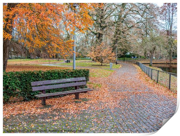 Wooden park bench in autumn in the Netherlands Print by Chris Yaxley