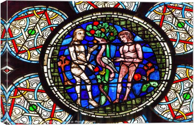 Adam Eve Stained Glass Notre Dame Cathedral Paris  Canvas Print by William Perry