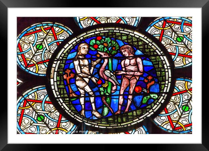 Adam Eve Stained Glass Notre Dame Cathedral Paris  Framed Mounted Print by William Perry