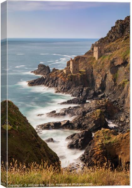 Summer afternoon at Botallack Canvas Print by Andrew Ray
