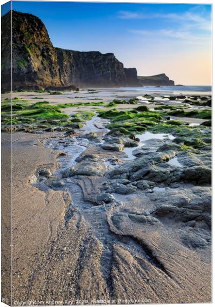 Low tide at Whipsiderry Beach Canvas Print by Andrew Ray