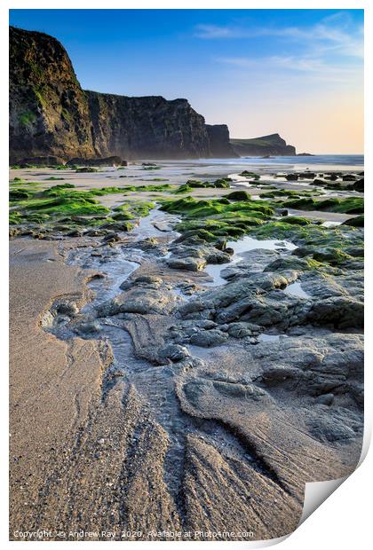 Low tide at Whipsiderry Beach Print by Andrew Ray
